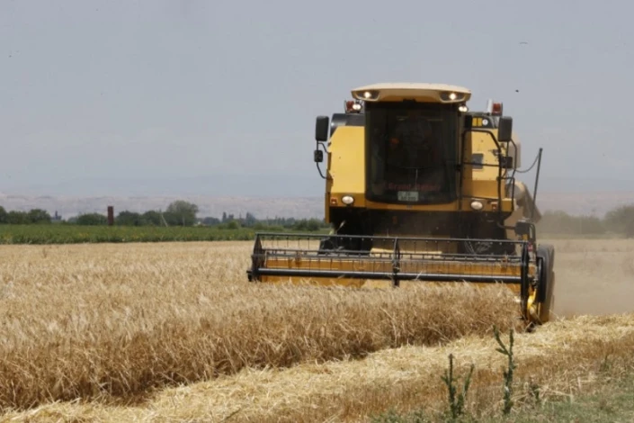 Azərbaycanda payızlıq əkin sahələrinin 36 %-də biçin başa çatıb