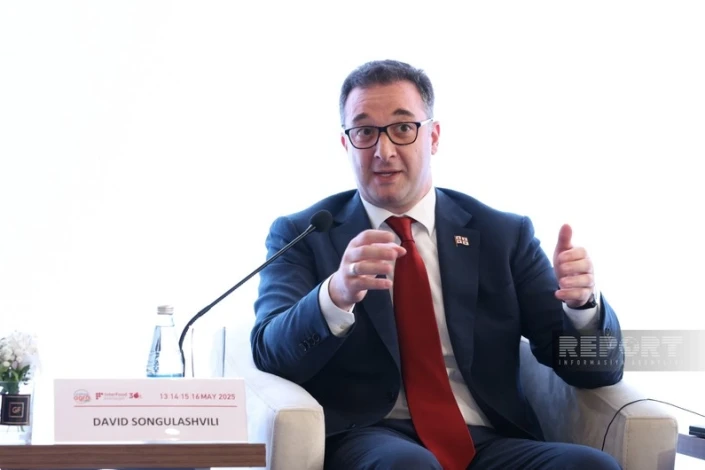 Gürcü nazir: “COP29 region üçün əhəmiyyətli hadisələrdən biri olub”
