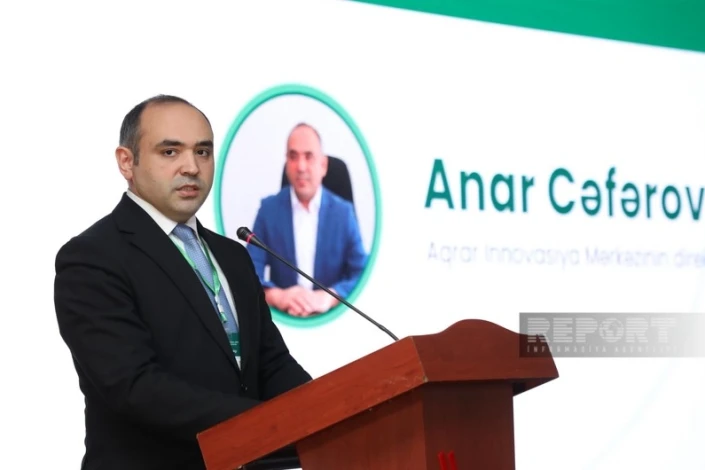Azərbaycanda kredit yarmarkaları təşkil ediləcək