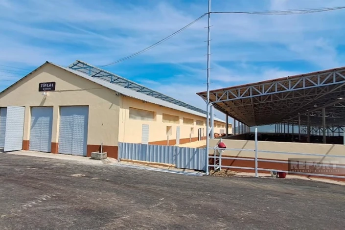 Xocalının Xanabad kəndindəki heyvandarlıq kompleksində 55 nəfər işlə təmin edilib