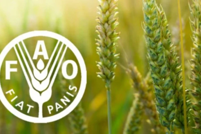 FAO: Regiondakı ölkələrin aqrar xərclərində ekoloji ödənişlərin payı azdır