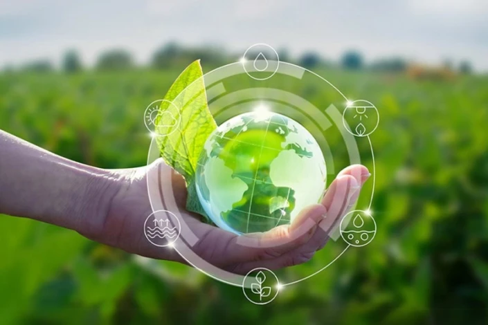 FAO "yaşıl kənd təsərrüfatı"na keçid üçün əsas tövsiyələrini açıqlayıb
