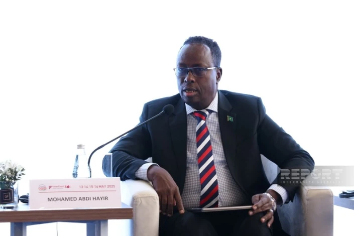 Somali rəsmisi: "COP29-un nəticələri qlobal səyləri gücləndirəcək"