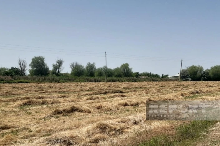 Muğan zonasında yağıntılar biçilmiş yonca sahələrinə ziyan vurub