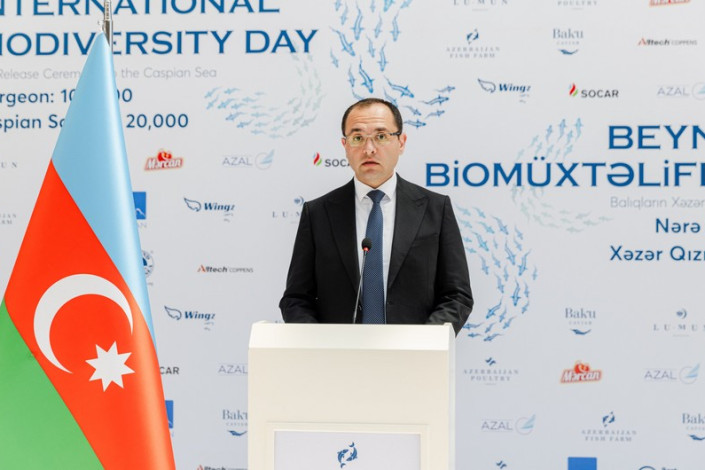 Məcnun Məmmədov: "Balıq ehtiyatlarının düzgün idarə olunması regionlarda iqtisadi fəaliyyətin davamlılığını təmin edir"