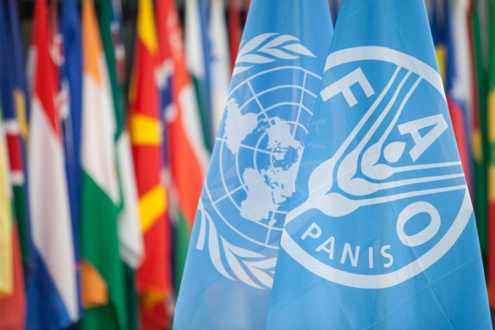 FAO: Azərbaycan dünyanın bioloji baxımdan ən zəngin ekosistemlərindən biridir