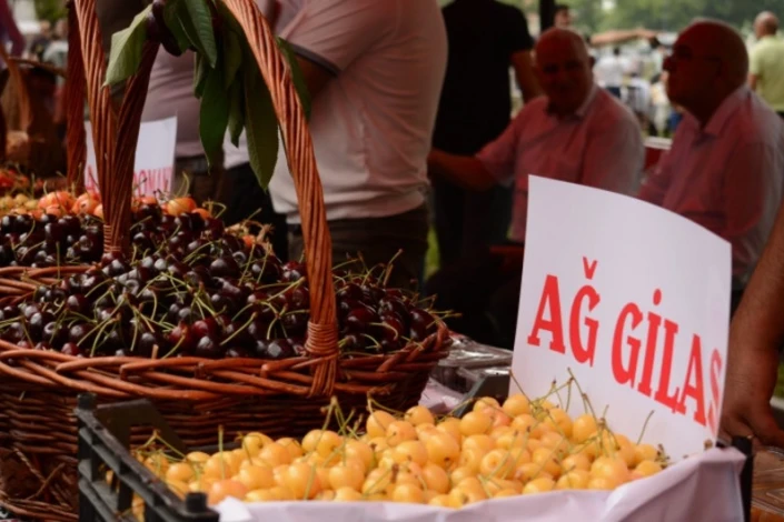 Azərbaycanda keçiriləcək Məhsul Festivallarının detalları açıqlanıb