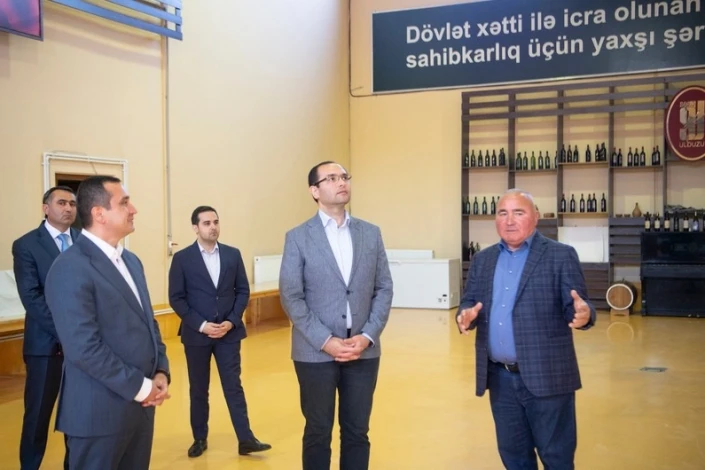Məcnun Məmmədov Ağstafa, Tovuz və Şəmkirdə təsərrüfatlara baş çəkib