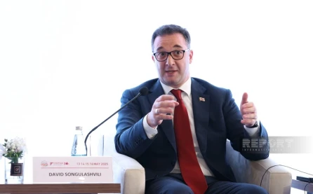 Gürcü nazir: “COP29 region üçün əhəmiyyətli hadisələrdən biri olub”