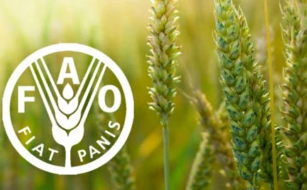 FAO: Regiondakı ölkələrin aqrar xərclərində ekoloji ödənişlərin payı azdır