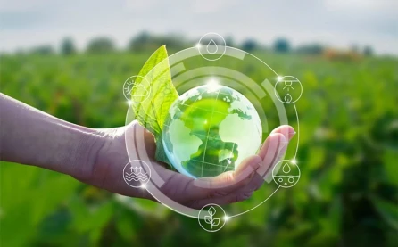 FAO "yaşıl kənd təsərrüfatı"na keçid üçün əsas tövsiyələrini açıqlayıb