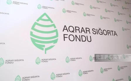 “İntensiv fermaların genişləndirilməsi əsas çağırışdır” - Firdovsi Fikrətzadə “Real İntervyu”nun qonağı olub