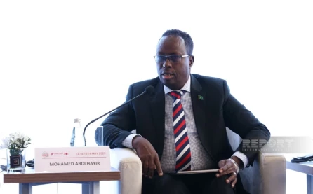 Somali rəsmisi: "COP29-un nəticələri qlobal səyləri gücləndirəcək"