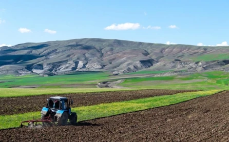 Azərbaycanda dövlət xətti ilə aqrar sığorta ödənişi 15 milyon manata çatıb