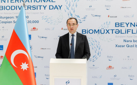 Məcnun Məmmədov: "Balıq ehtiyatlarının düzgün idarə olunması regionlarda iqtisadi fəaliyyətin davamlılığını təmin edir"