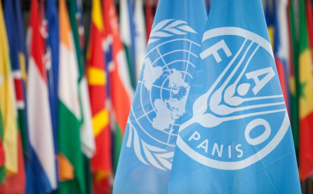 FAO: Azərbaycan dünyanın bioloji baxımdan ən zəngin ekosistemlərindən biridir