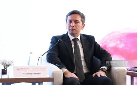 Yalçın Rəfiyev: "COP30-da "Bakıdan Belemə" adlı yol xəritəsi təqdim ediləcək"