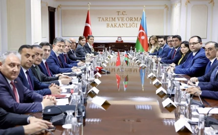 “İntensiv fermaların genişləndirilməsi əsas çağırışdır” - Firdovsi Fikrətzadə “Real İntervyu”nun qonağı olub