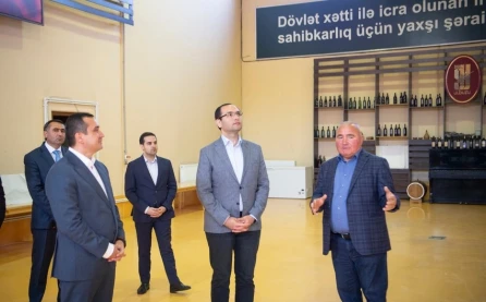 Məcnun Məmmədov Ağstafa, Tovuz və Şəmkirdə təsərrüfatlara baş çəkib