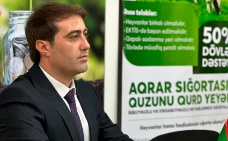Naxçıvanda fermerlərə dəymiş ziyan Aqrar Sığorta Fondu tərəfindən ödəniləcək
